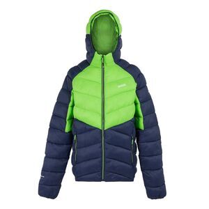 Regatta Mens Dalent  Insulated Jacket / Green Flash/Navy